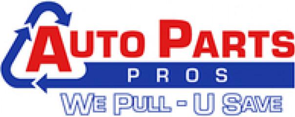 Auto Parts Pros (1279196)